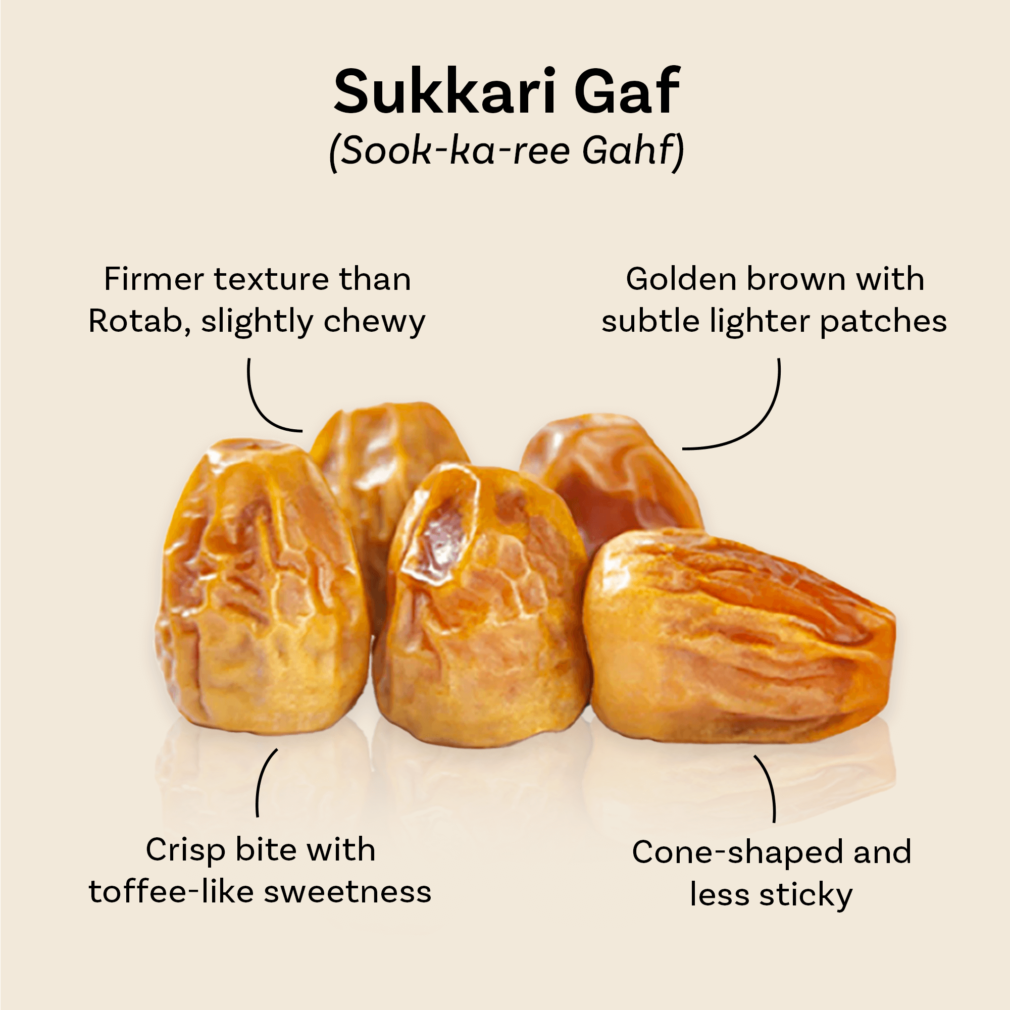 Sukkari Gaf dates from Mighty Mejdool, golden brown with lighter patches, crisp bite, and toffee-like sweetness.