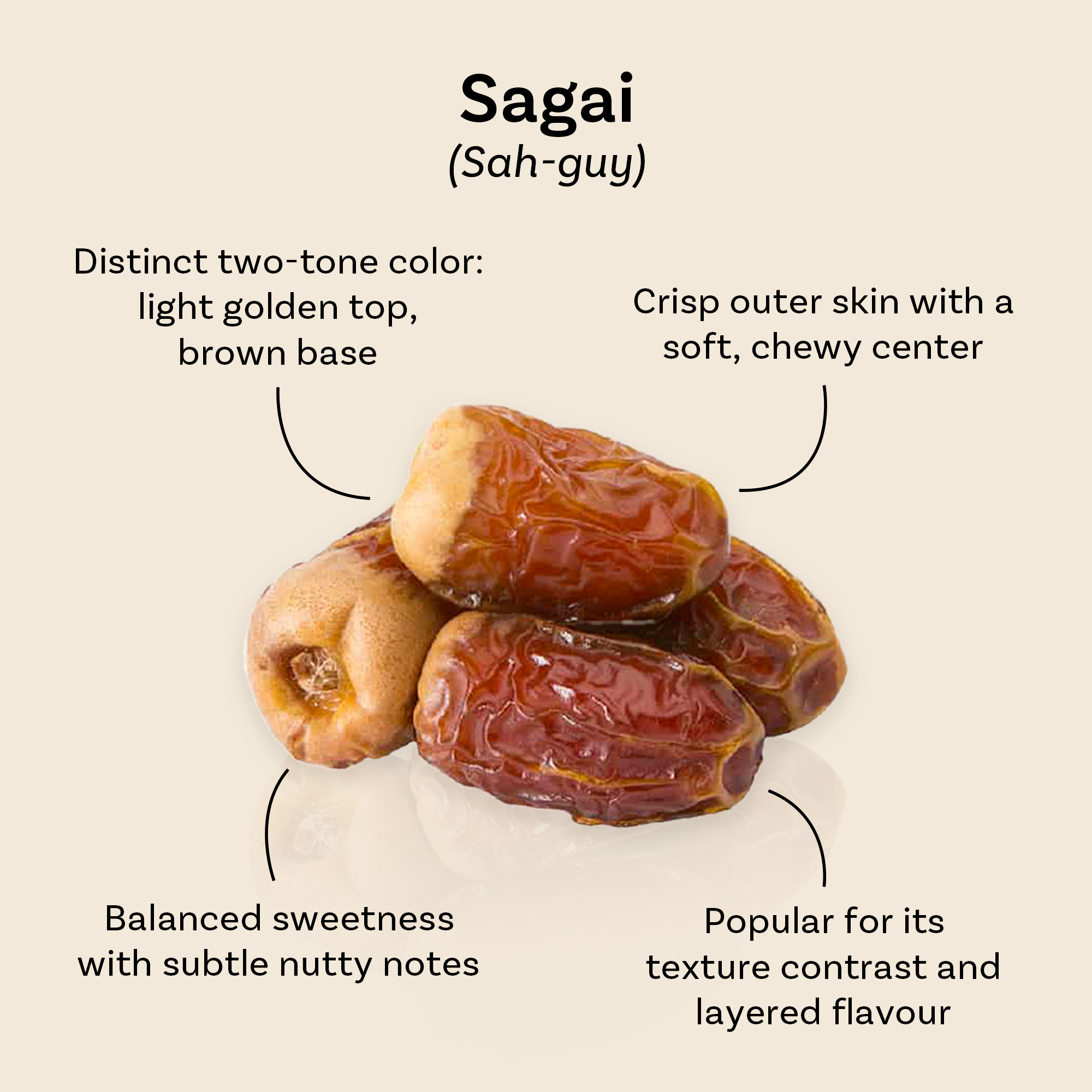 Sagai