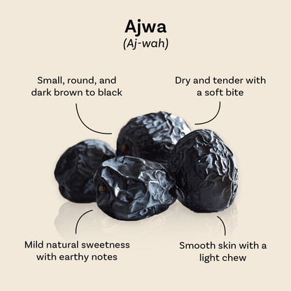 Ajwa dates from Mighty Mejdool, small and round with dark brown to black skin, smooth texture, and mild earthy sweetness