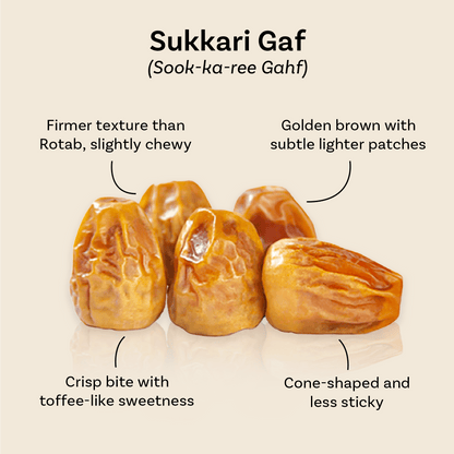 Sukkari Gaf dates from Mighty Mejdool, golden brown with lighter patches, crisp bite, and toffee-like sweetness.