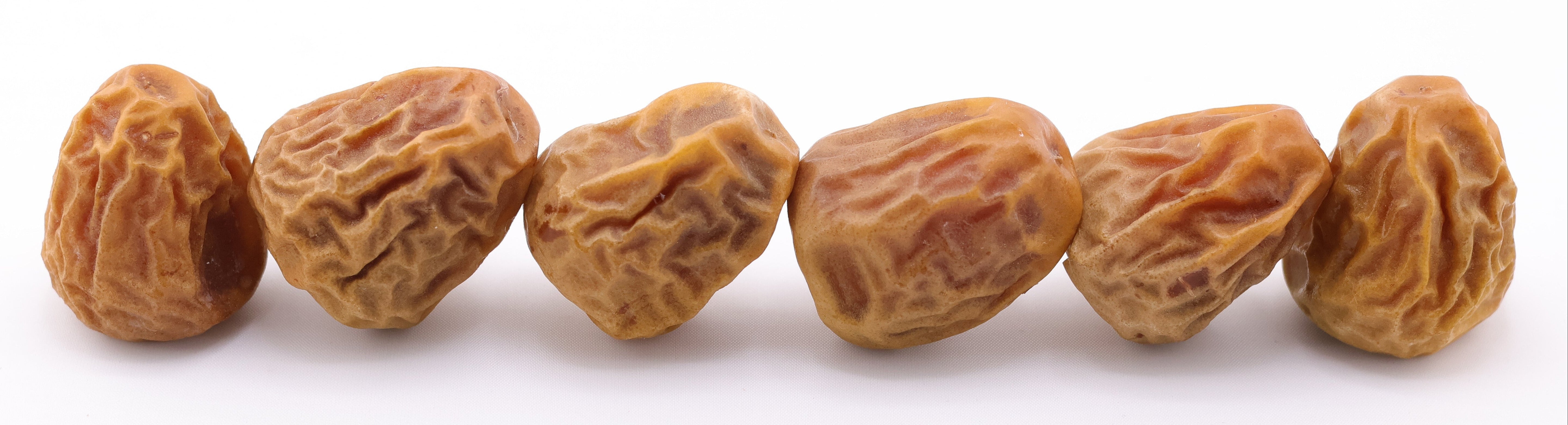Row of premium Sukkari dates from Saudi Arabia showing their golden brown colour and natural wrinkled texture